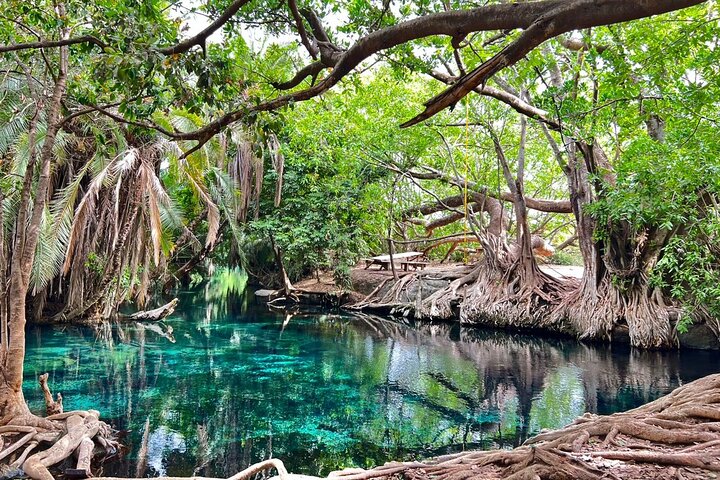 Kikuletwa Hot Springs