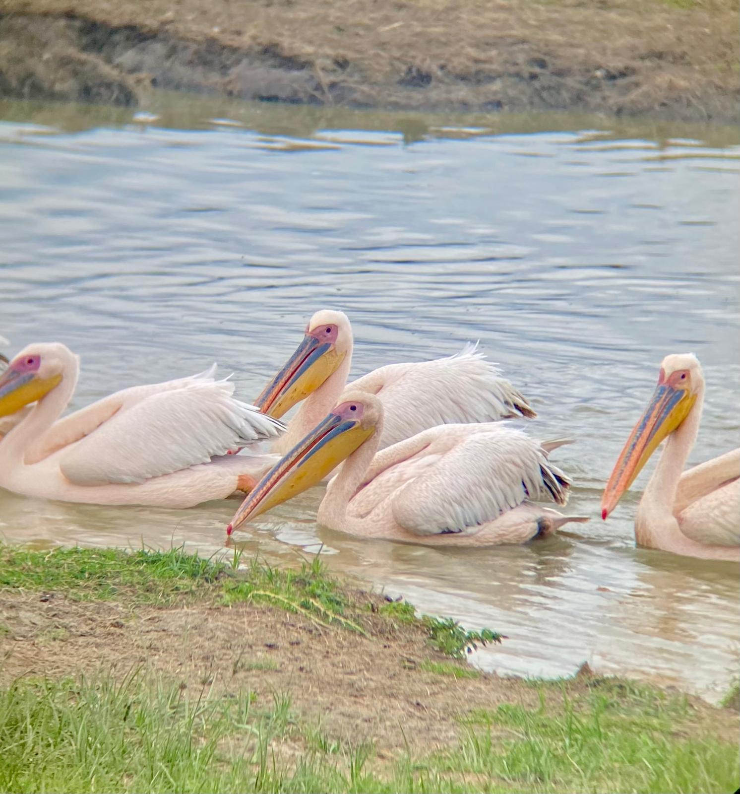 Lake Manyara